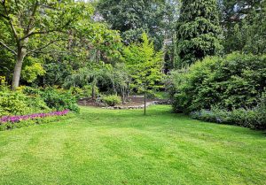 Optimiser l'expérience du jardin à Vernantois